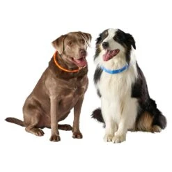 ZooRoyal LED Leuchthalsband USB Langhaar 8 ZooRoyal LED Leuchthalsband USB Langhaar -Deutschland Wuff Spielzeug Verkaufs-Shop zooroyal leuchthalsband imageyXnkyqzCoFmte